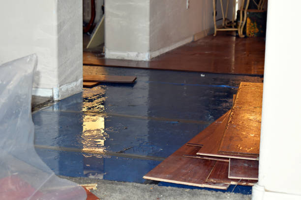 Professional Basement Flood Cleanup technician working in Malaga, NJ